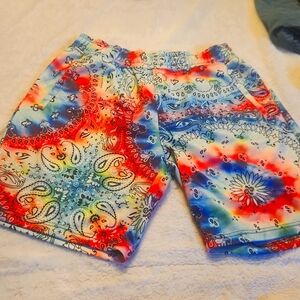 Drill Clothing Co. Fresh Prints of Bel Air Colorful Shorts Pull On Men Large